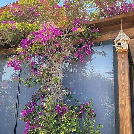 Holiday home Wild Lajares