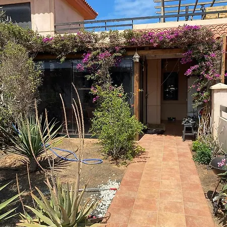 Wild Holiday home